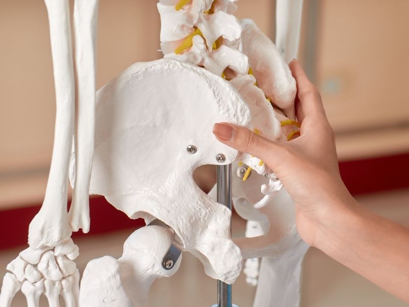 kemik-erimesi-nasil-olusur